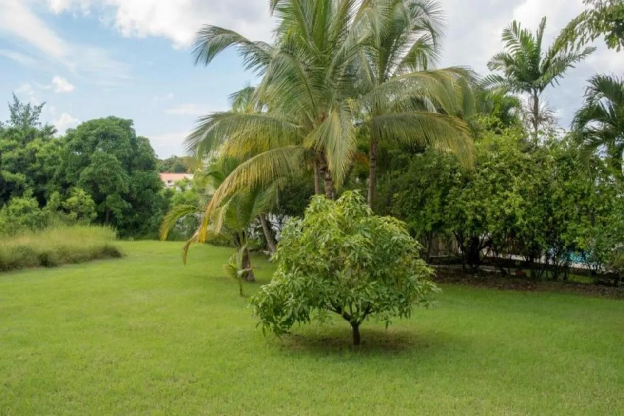 Vila Rock Ridge By Barbados Sothebys International Realty Gibbes